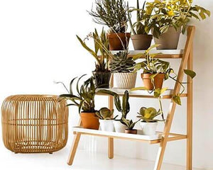 Collection image for: Home | Garden