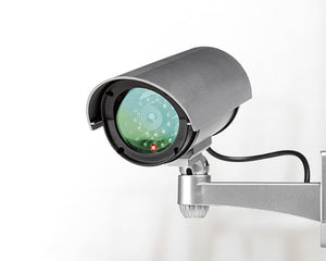 Surveillance video cameras